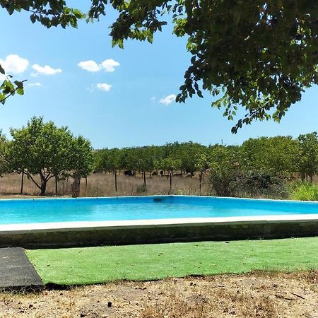 Rod Ranch Livestock - Stanza Doppia Con Letti Singoli Villa Campagnano Di Roma Ngoại thất bức ảnh
