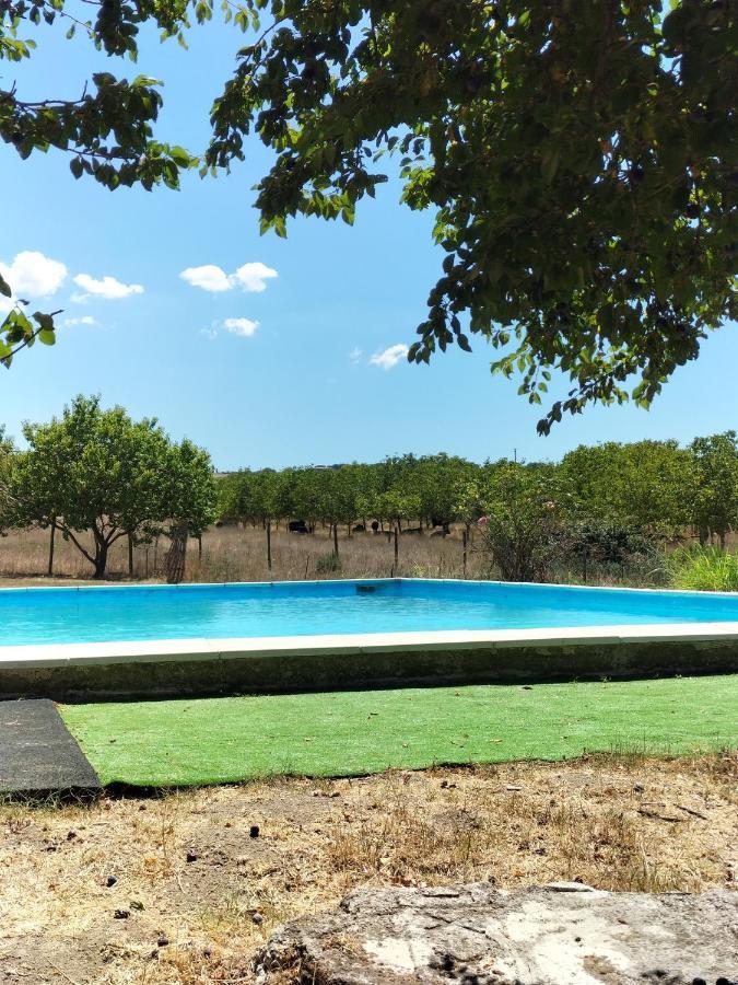 Rod Ranch Livestock - Stanza Doppia Con Letti Singoli Villa Campagnano Di Roma Ngoại thất bức ảnh